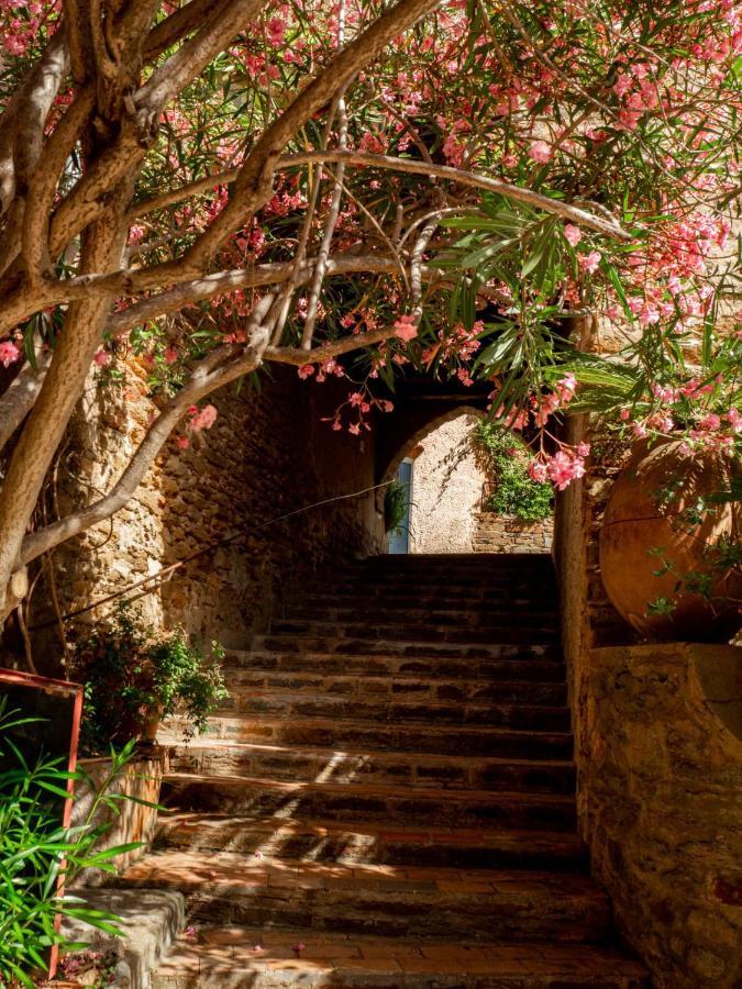 Sole Mia, Appt 2/4Pers Au Coeur De Bormes Daire Dış mekan fotoğraf